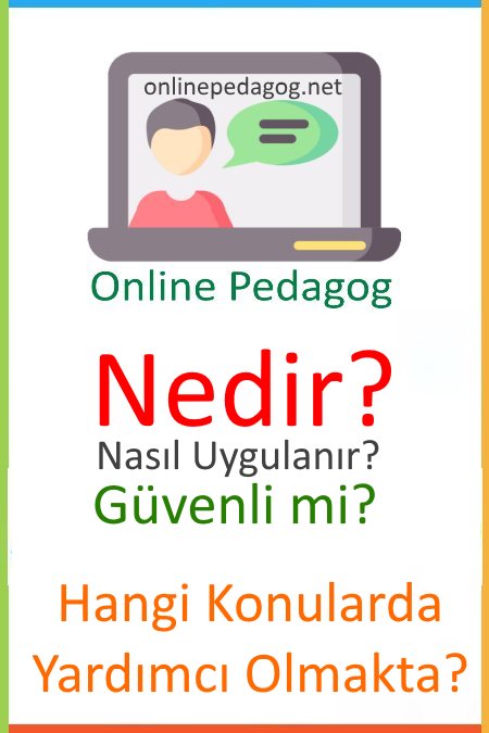 online pedagog nedir